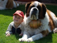 /album/fotogaleria-bruno/dsc00126-jpg/