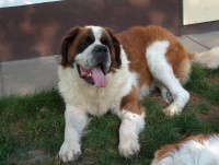 /album/fotogaleria-bruno/hpim0565-jpg/