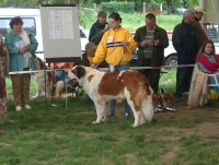 /album/fotogaleria-arkada-de-averlades-molly/hpim0459-jpg/