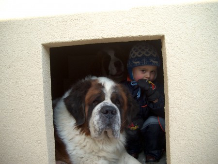 Dani na návšteve u psov